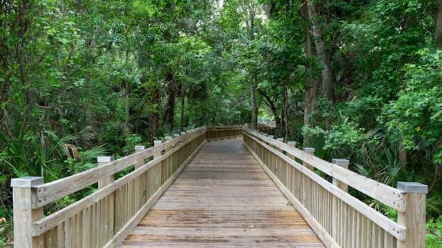 wooden-bridge-on-a-florida-hiking-trail